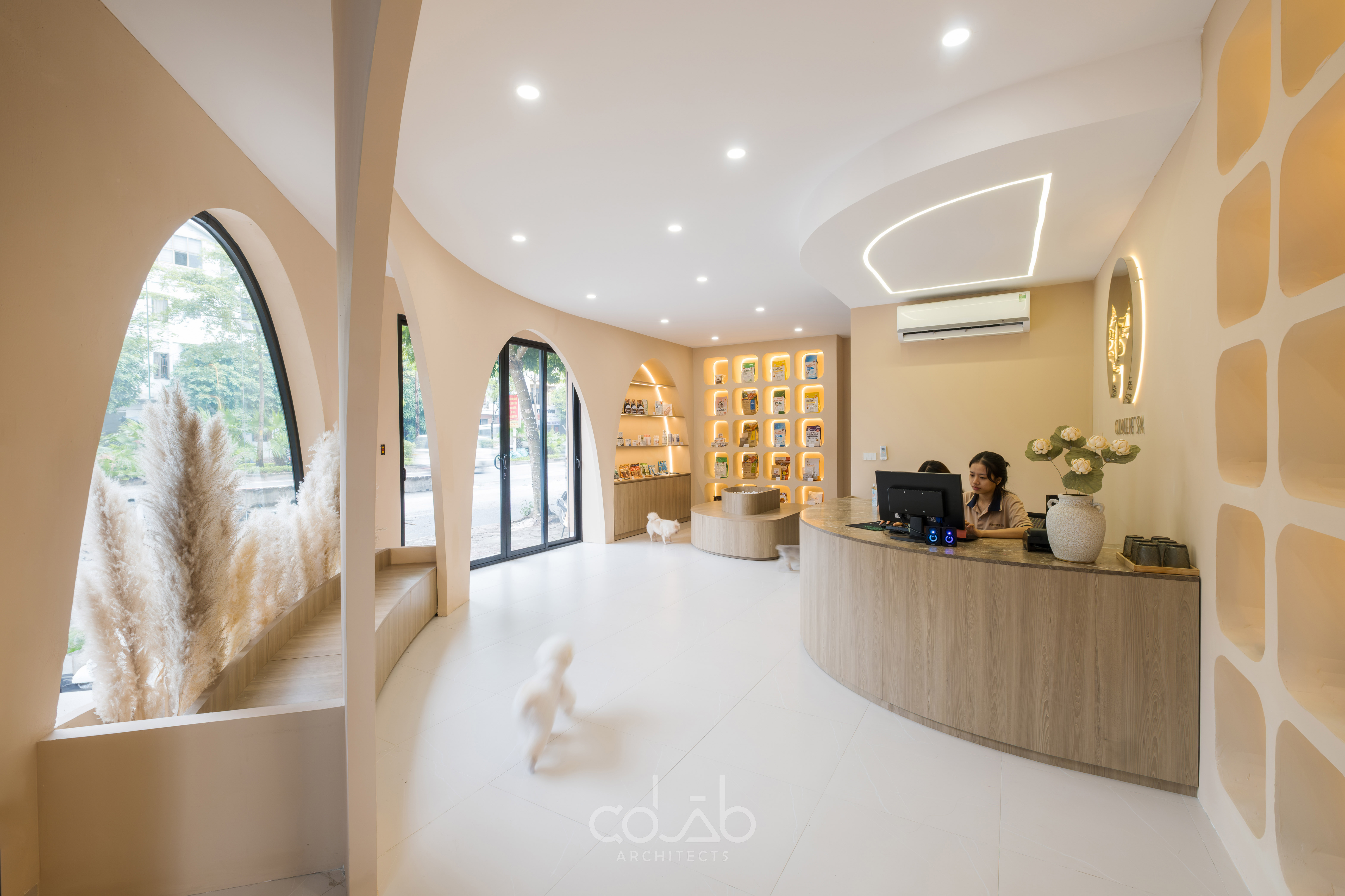 Cuddle Pet Spa