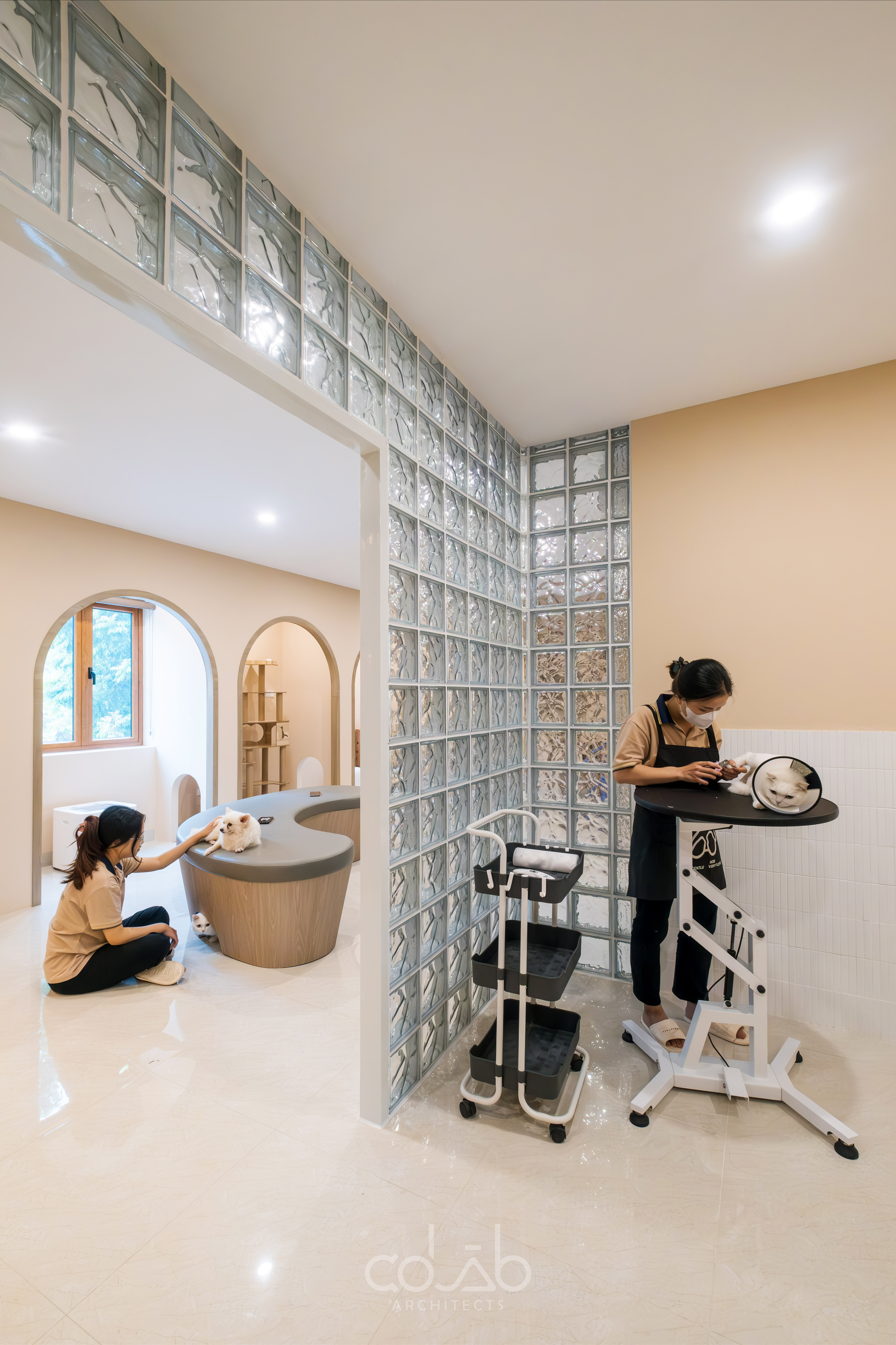 Cuddle Pet Spa