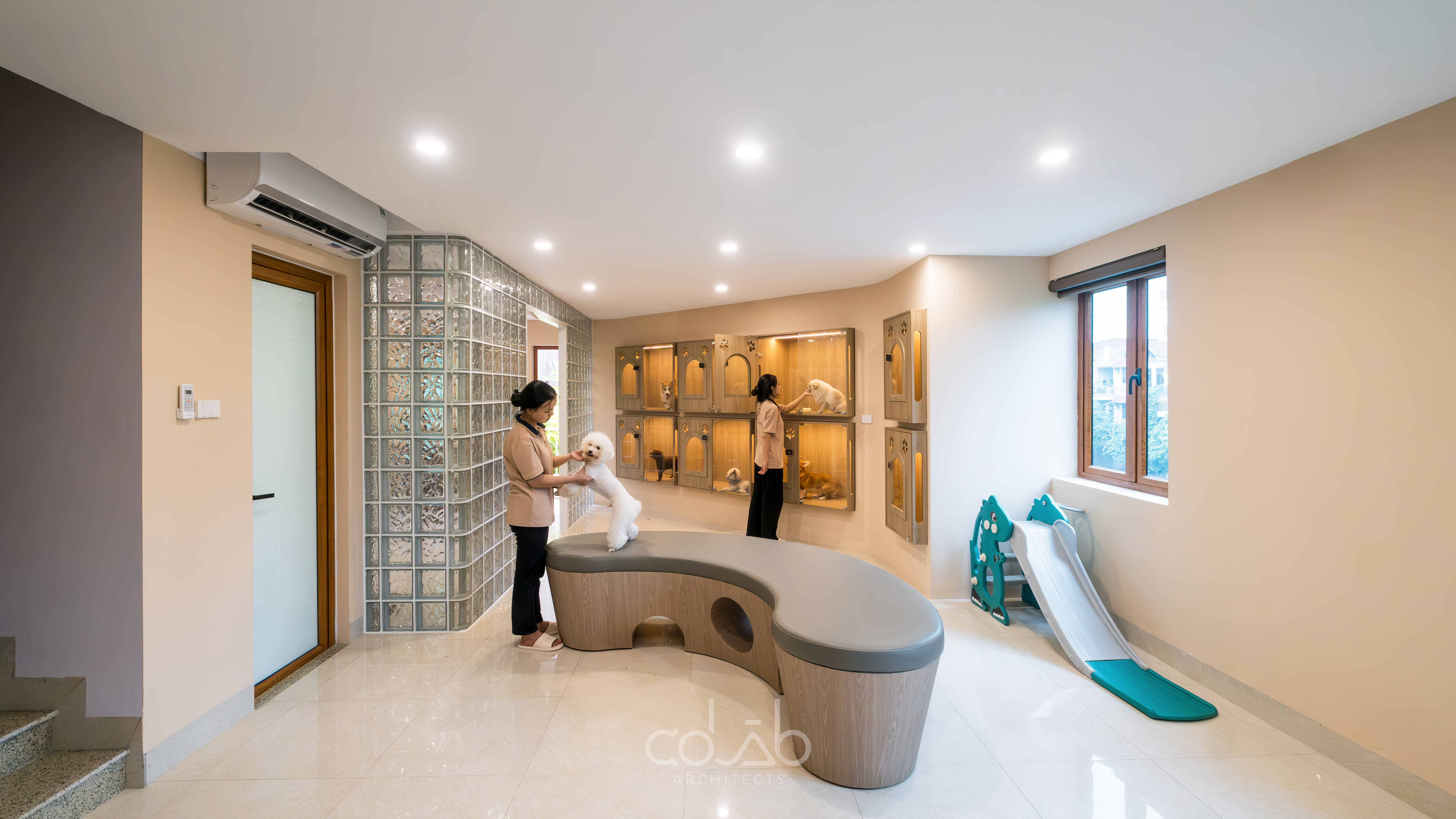 Cuddle Pet Spa