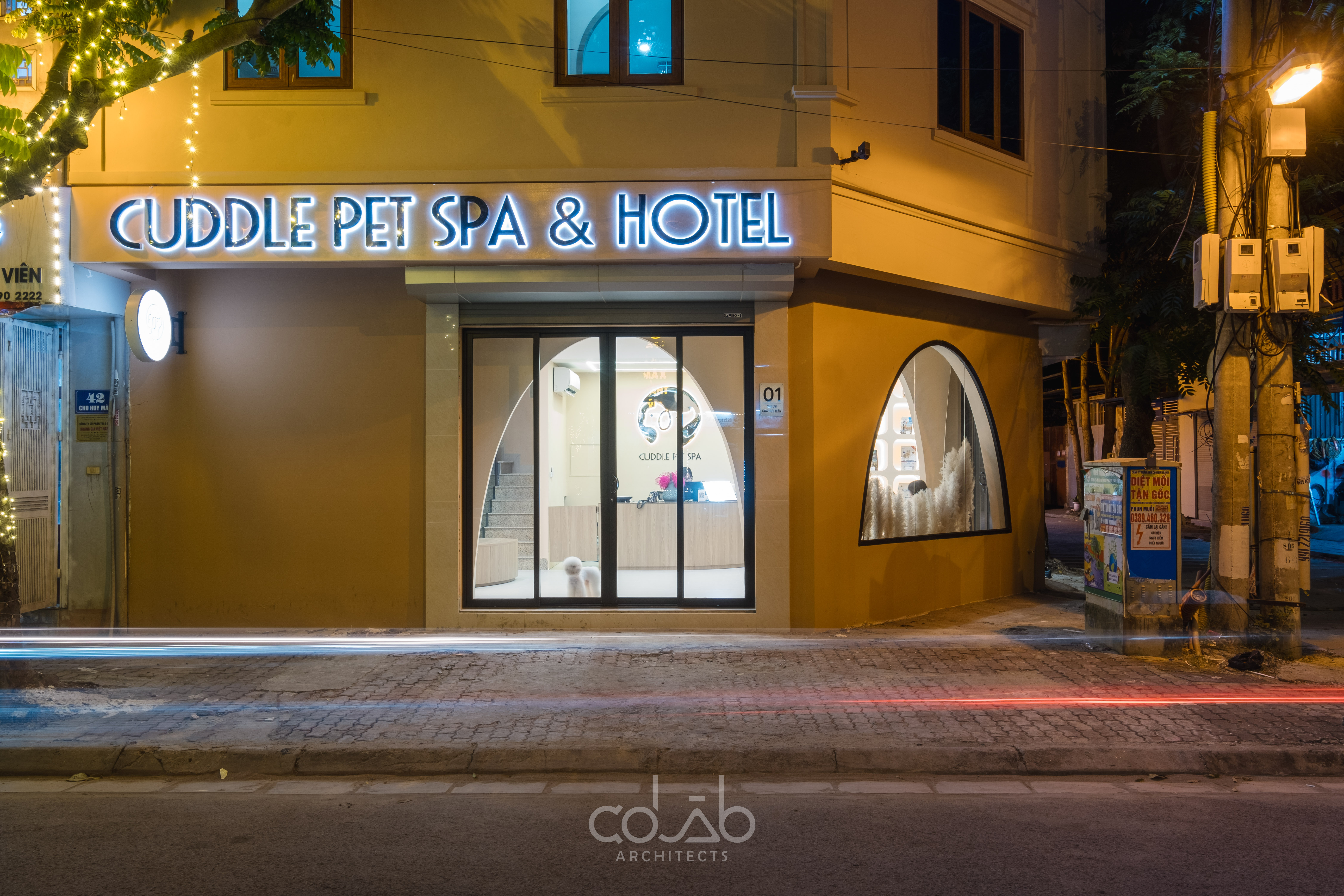 Cuddle Pet Spa