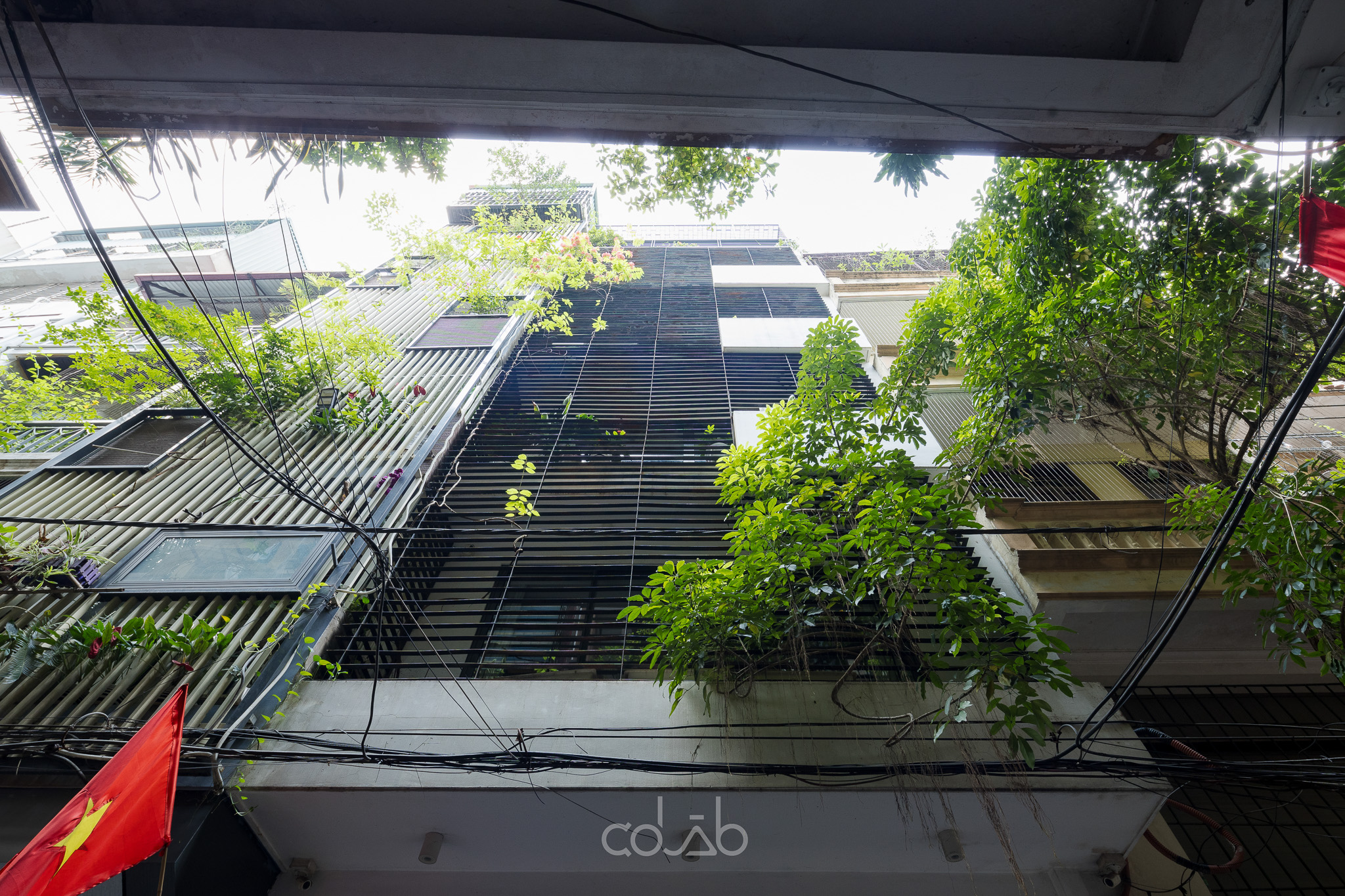 CoLab Office Hà Nội 