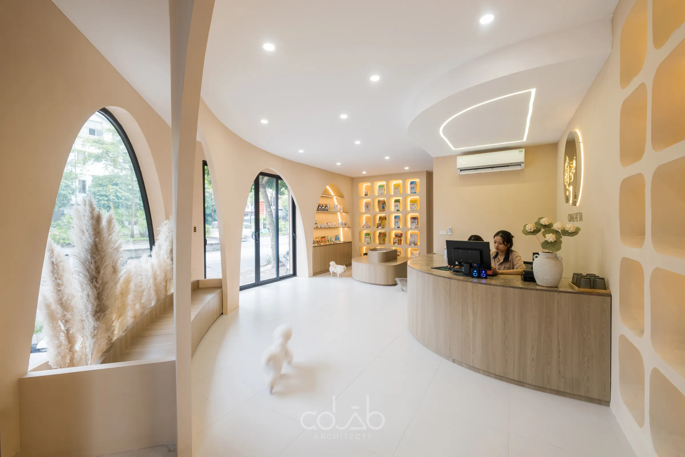 Cuddle Pet Spa