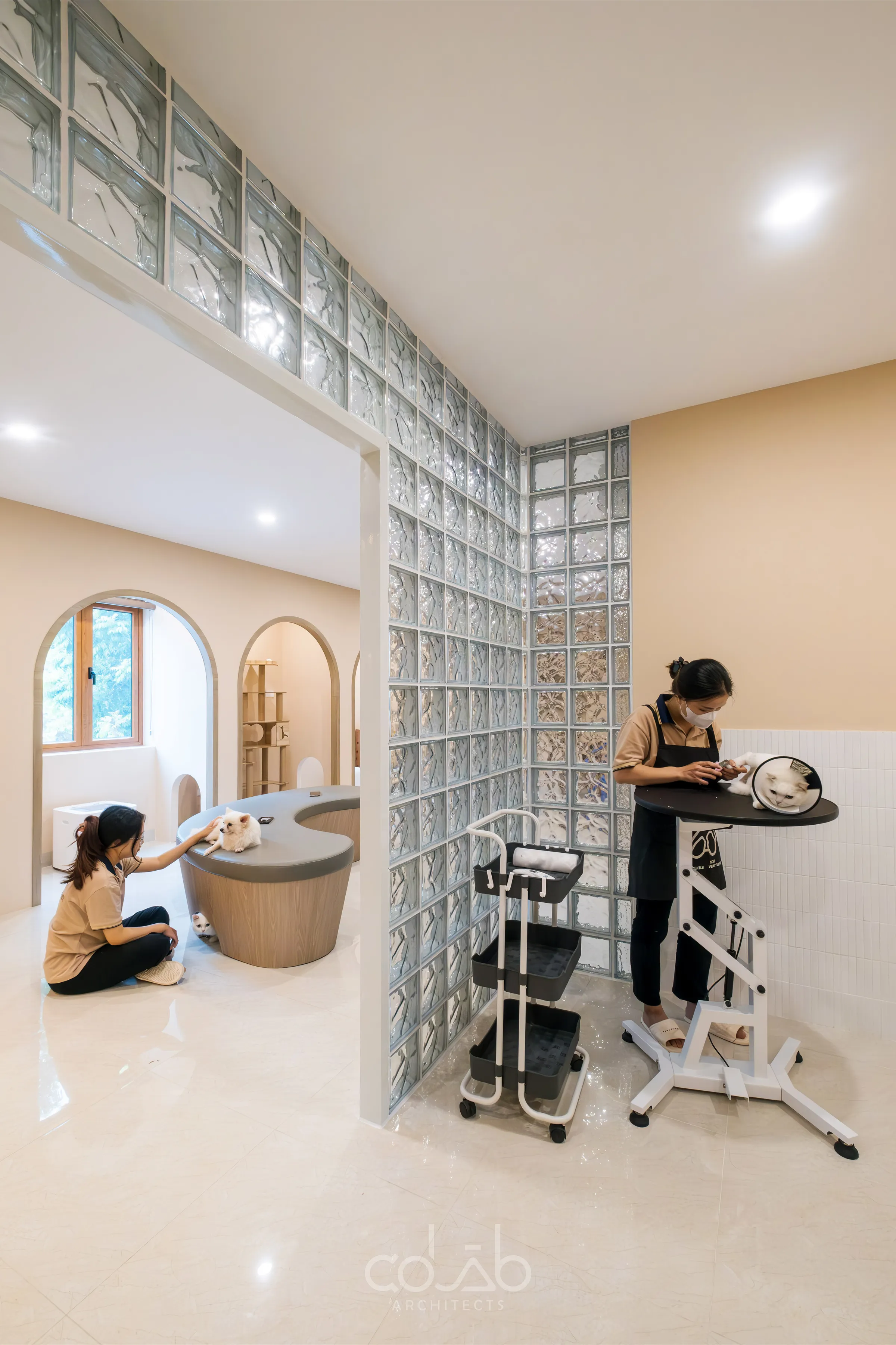 Cuddle Pet Spa