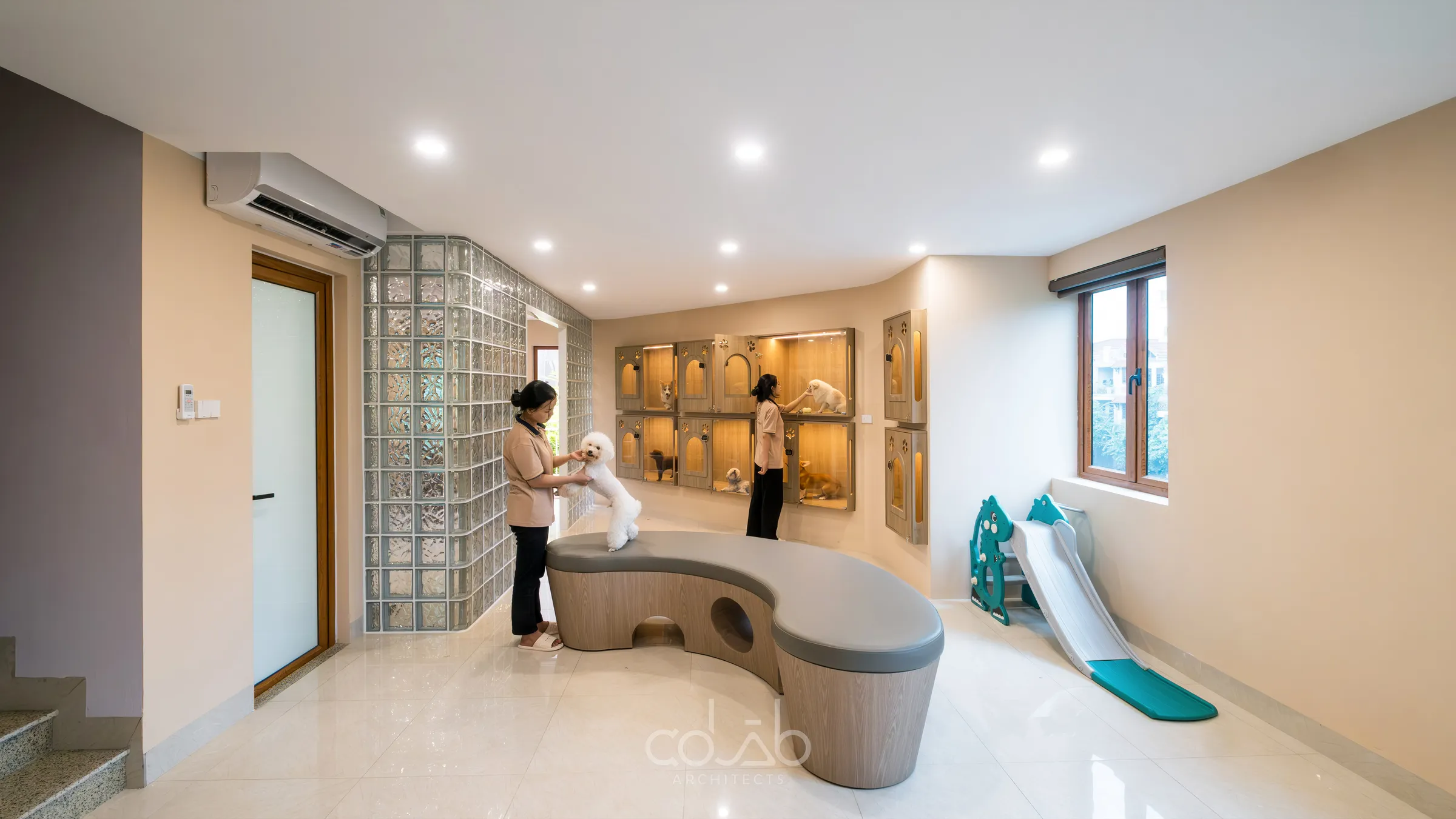 Cuddle Pet Spa